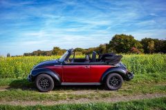 VW Käfer Cabrio