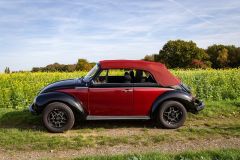 VW Käfer Cabrio